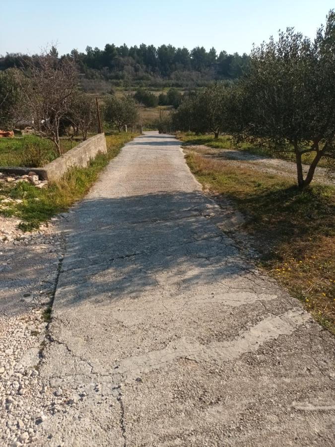 Apartman Skradin Exterior foto