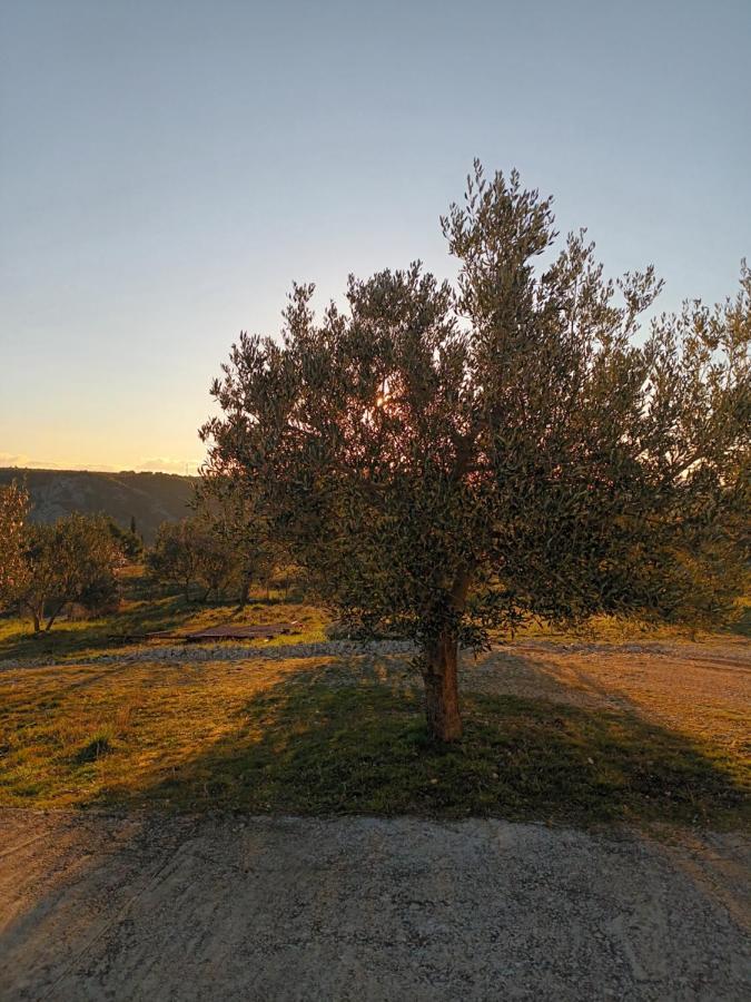 Apartman Skradin Exterior foto